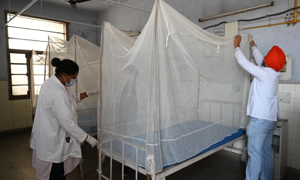 Health worker conducting dengue prevention and mosquito control activities in India.