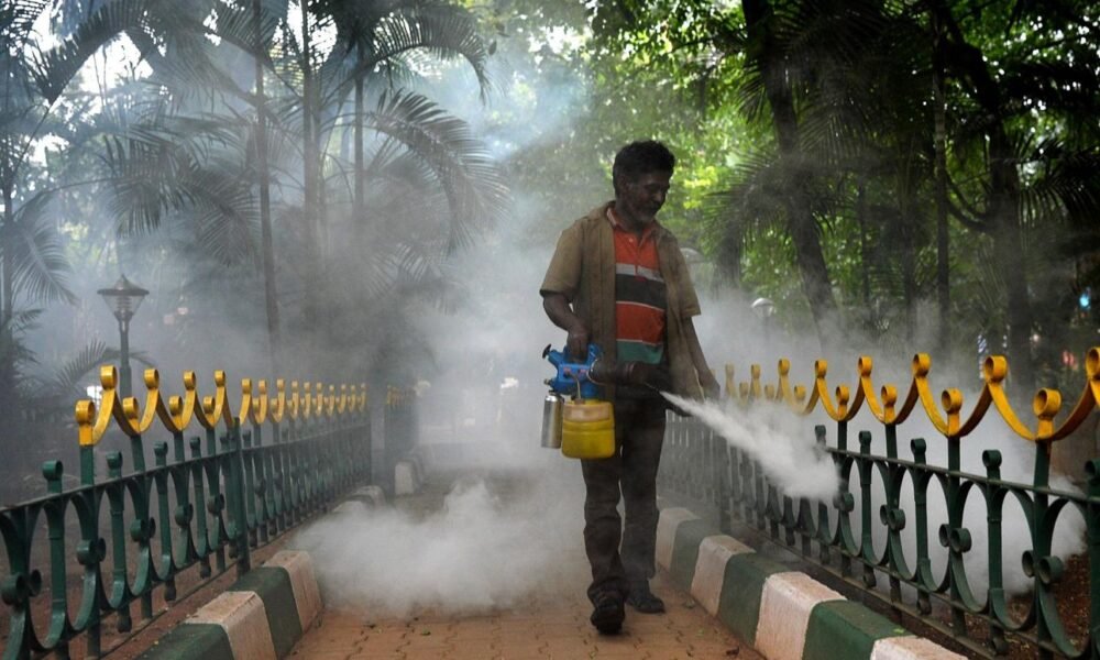 Dengue prevention and mosquito-control activity in Karnataka