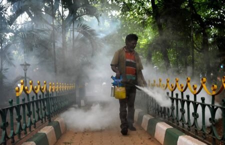 Dengue prevention and mosquito-control activity in Karnataka