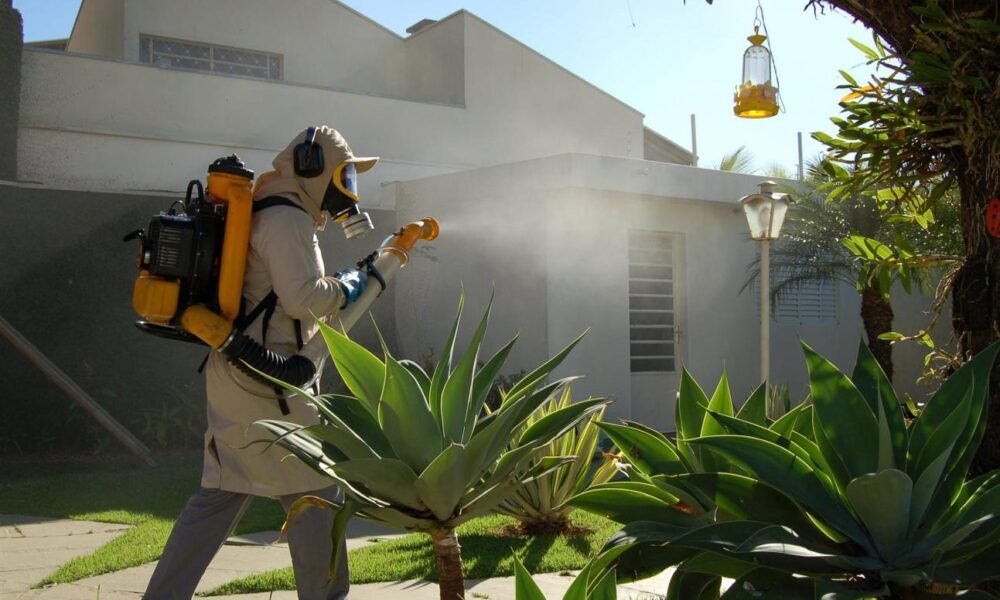 Health workers conducting dengue prevention and surveillance activities.