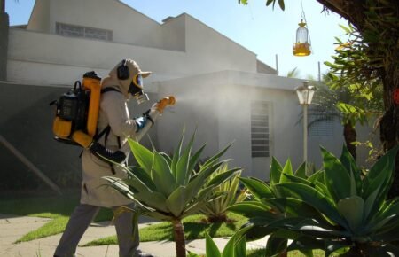 Health workers conducting dengue prevention and surveillance activities.