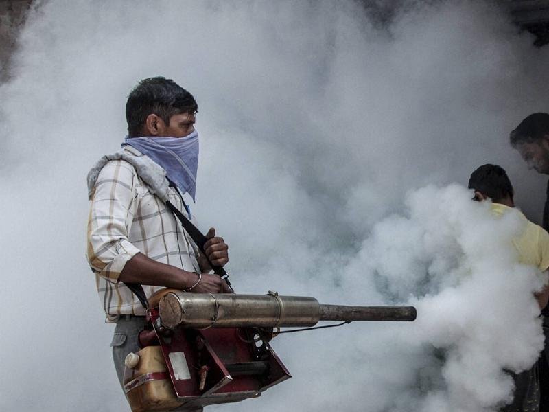 A public health worker carrying out mosquito control measures during a dengue prevention campaign.