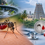 Tamil Nadu Dengue Cases Cross 16,000: Health Department Says Rise Not Unusual