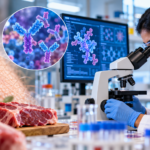 Researchers studying antibodies for alpha-gal syndrome treatment