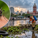 Dengue Cases More Than Double in Chennai: Why the Risk Rises After the Monsoon
