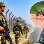 Dengue Cases Among BSF Personnel in Gujarat Highlight Need for Mosquito Prevention Dengue Cases Among BSF Personnel in Gujarat Highlight Need for Mosquito Prevention